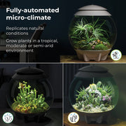 Climate-Adaptive Succulent Plant Potted Arrangements